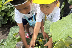 IMG_6672