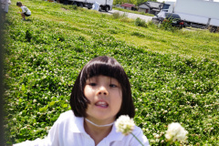 DSC_7009