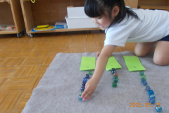 DSCN1267