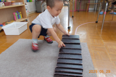 DSCN1749