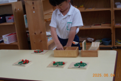 DSCN2212