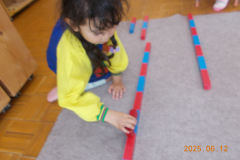 DSCN2781