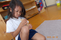 DSCN3834