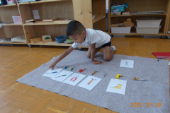 DSCN4470