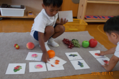 DSCN4786