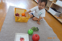 DSCN4795