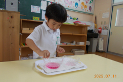 DSCN4846