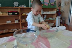 KODAK Digital Still Camera