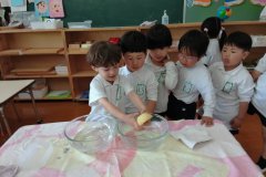 KODAK Digital Still Camera