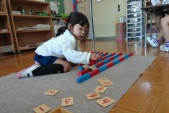 KODAK Digital Still Camera