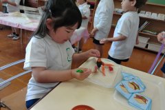 KODAK Digital Still Camera