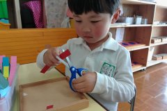 KODAK Digital Still Camera