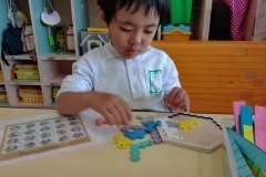 KODAK Digital Still Camera