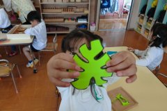 KODAK Digital Still Camera