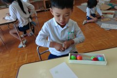 KODAK Digital Still Camera