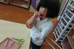 KODAK Digital Still Camera