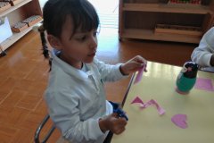 KODAK Digital Still Camera