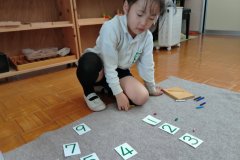 KODAK Digital Still Camera