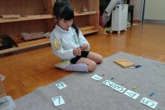 KODAK Digital Still Camera