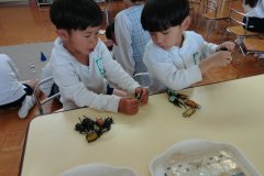 KODAK Digital Still Camera