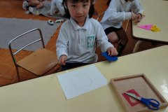 KODAK Digital Still Camera