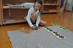 KODAK Digital Still Camera