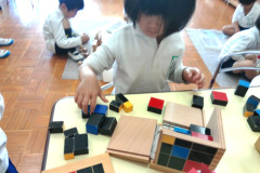 KODAK Digital Still Camera