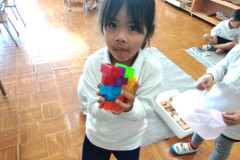 KODAK Digital Still Camera